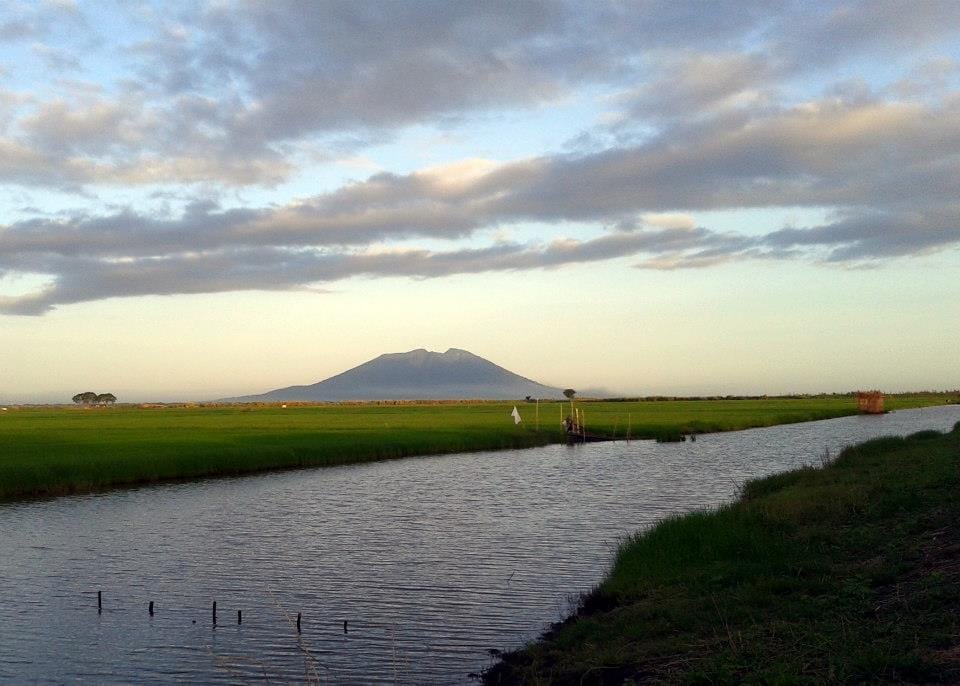 View of Mount Arayat. Photo by Cristina Cinco.