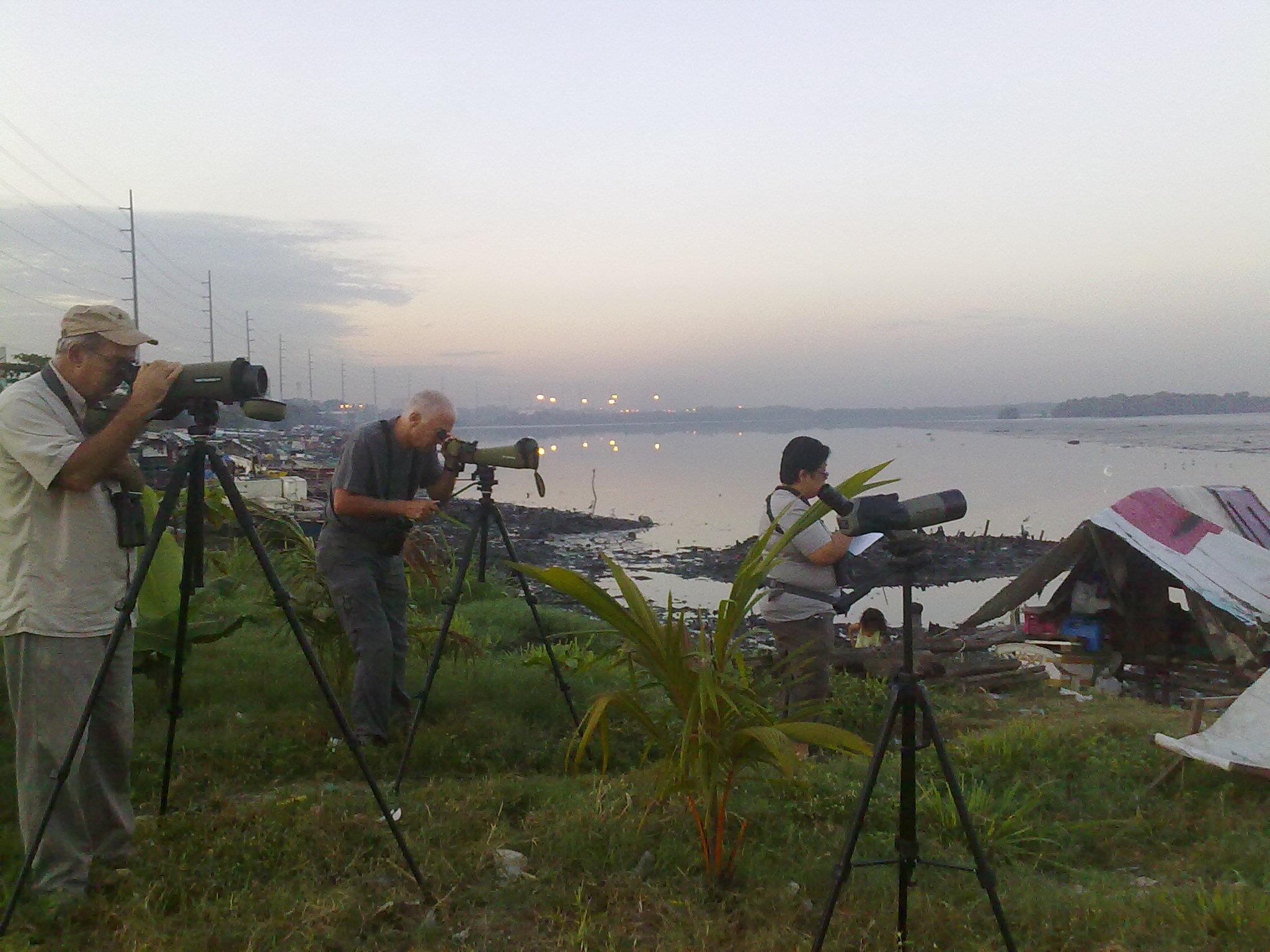 AWC in the Coastal Lagoon. Photo by Rei Panaligan.