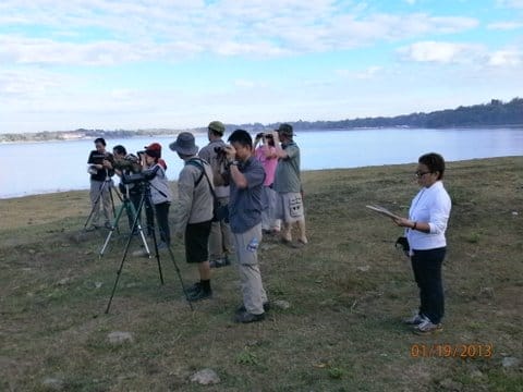 AWC in Paoay Lake. Photo by Petrus Calope