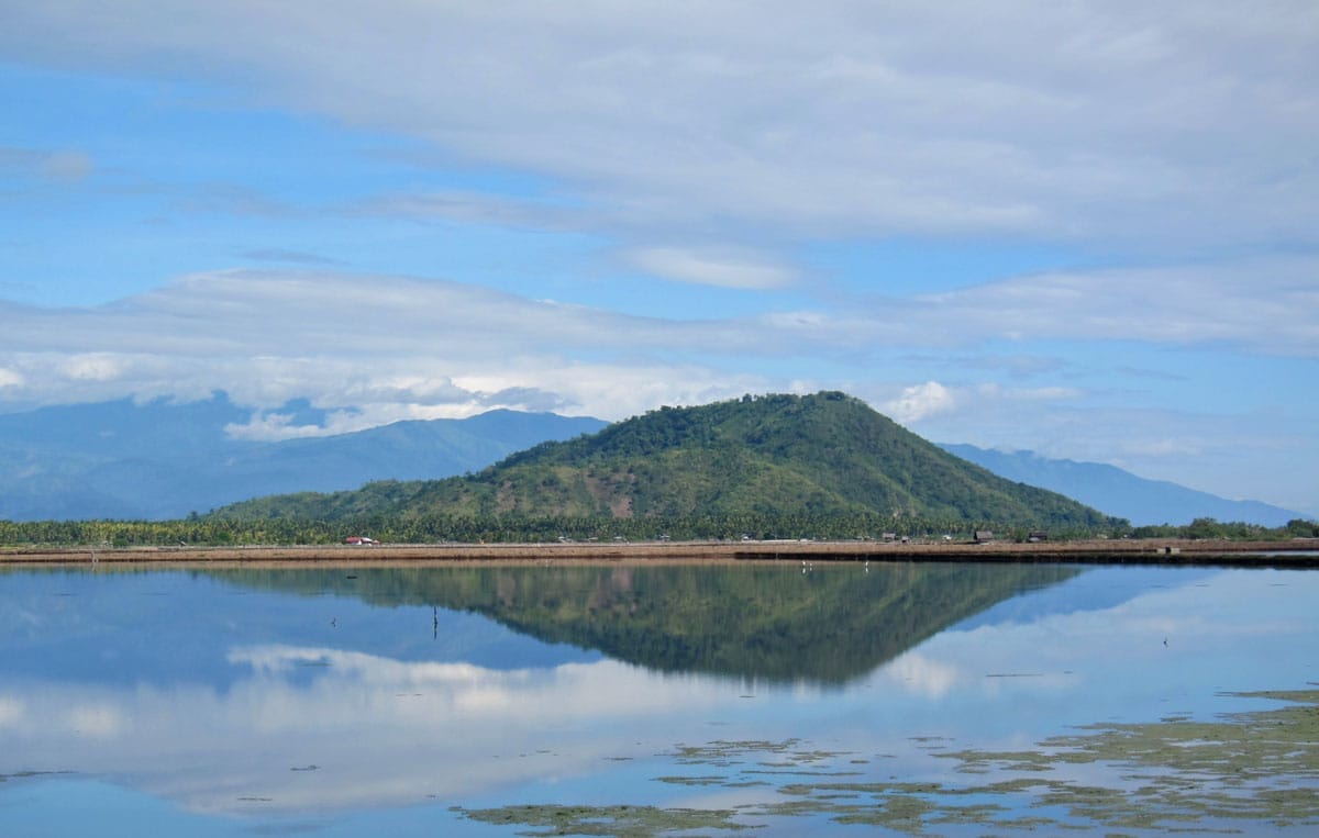 Scenic shot across a birdless fishpond. Photo by Pete Simpson.