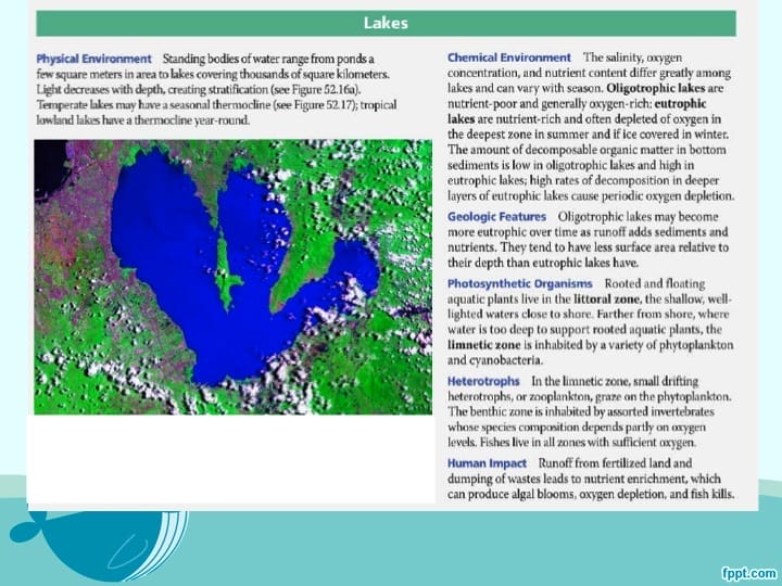 Laguna de Bay, Philippines, 940 km²Pasig River connects Manila Bay with Lagunade Bay, the largest freshwater lake in Southeast Asia. 