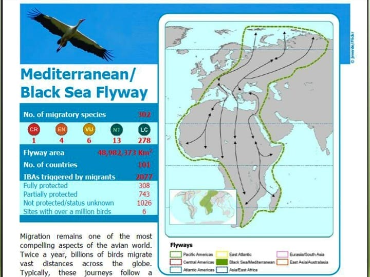 5 Mediterranean/Black Sea