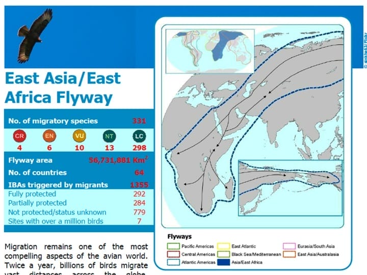 6 East Asia / East Africa