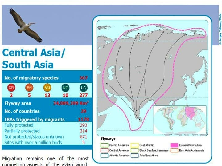 7 Central Asia/ South Asia