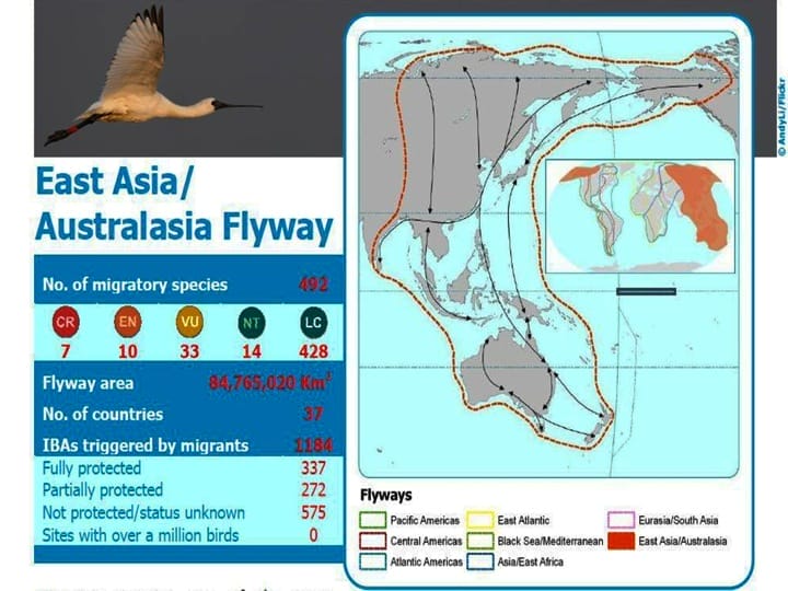 8 East Asia Australasia