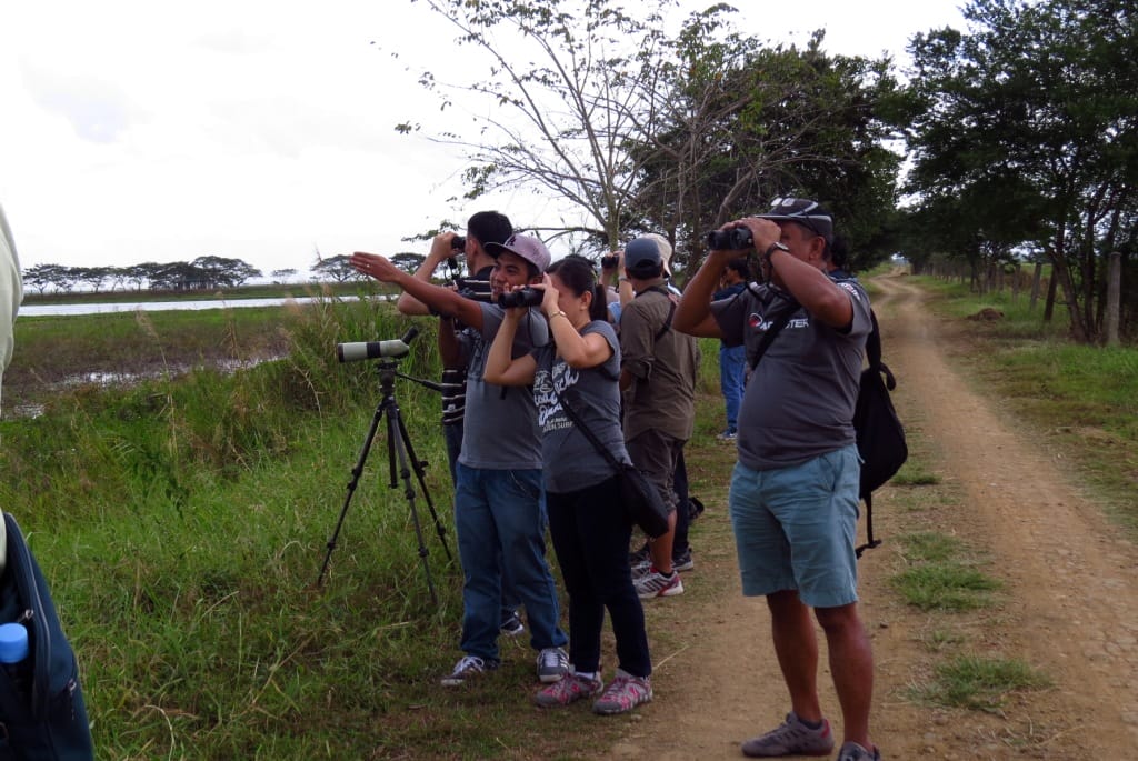 Birding along the roads in Candaba. Photo by Maia Tanedo.