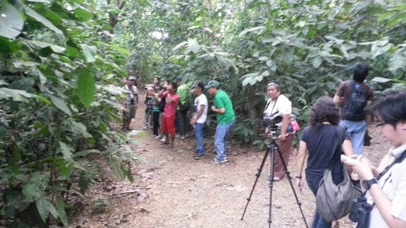 Guides and participants birding in the LMEP mini-forest. Photo by Jun Osano.
