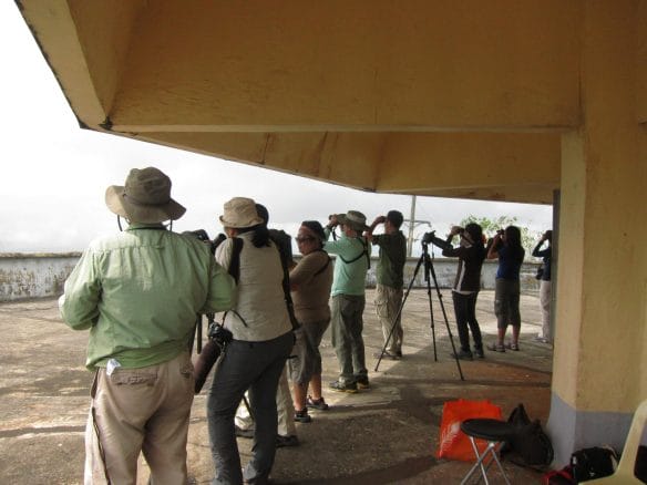 Birders watching the skies and counting raptors. Photo by Tere Cervero.
