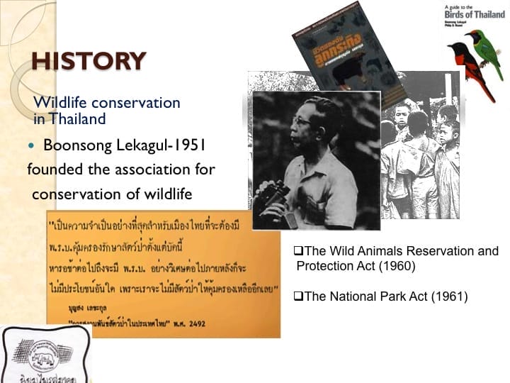 6th International Hornbill Conference, Dr. Vijak Chimchome, slide 4