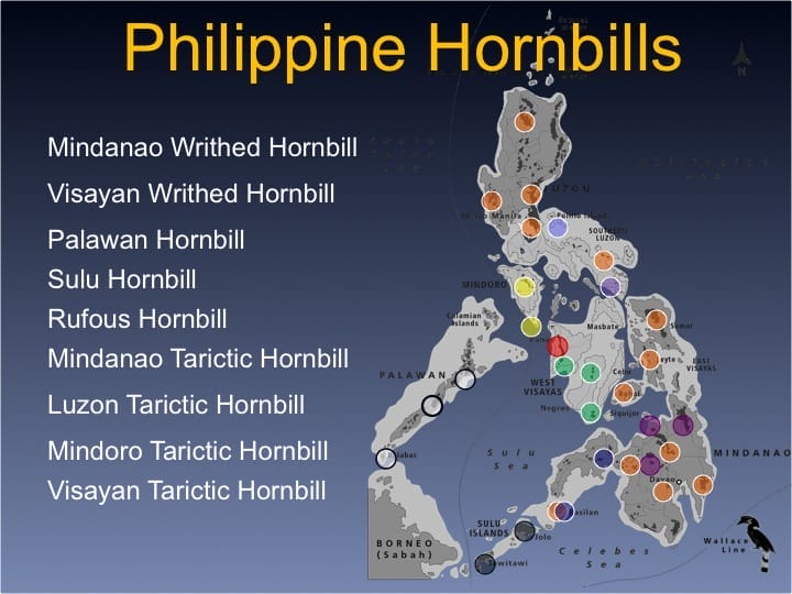Dr. William Oliver,  6th International Hornbill Conference - Slide 4