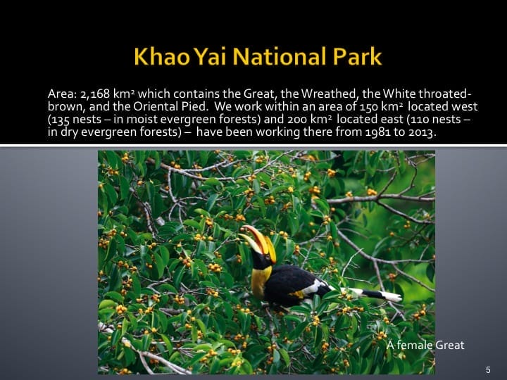 Dr. Woraphat Arthayukti, 6th International Hornbill Conference Manila, Philippines - Slide 5