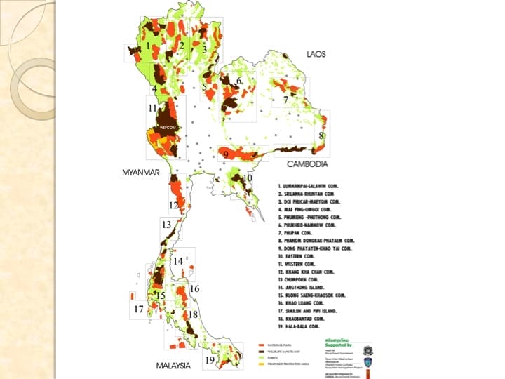 6th International Hornbill Conference, Dr. Vijak Chimchome, slide 5