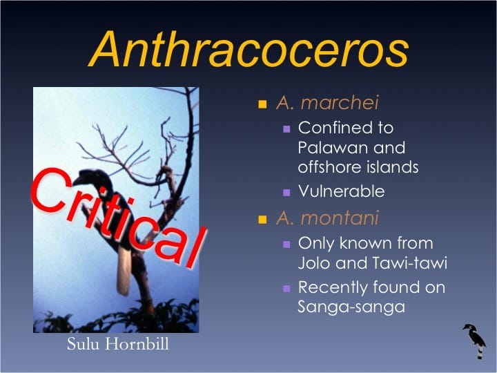 Dr. William Oliver,  6th International Hornbill Conference - Slide 6