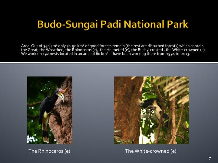 Dr. Woraphat Arthayukti, 6th International Hornbill Conference Manila, Philippines - Slide 7