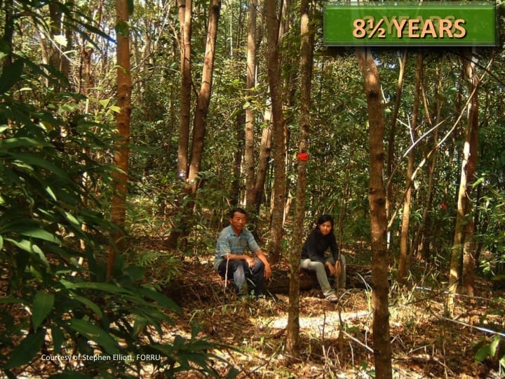 6th International Hornbill Conference, Dr. David Neidel, slide 8