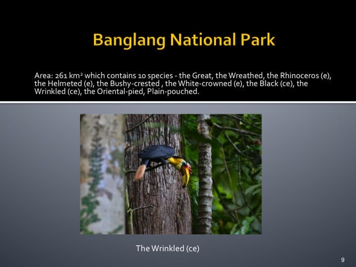 Dr. Woraphat Arthayukti, 6th International Hornbill Conference Manila, Philippines - Slide 9
