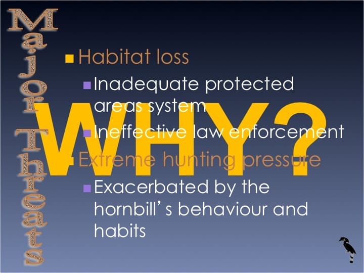 Dr. William Oliver,  6th International Hornbill Conference - Slide 9