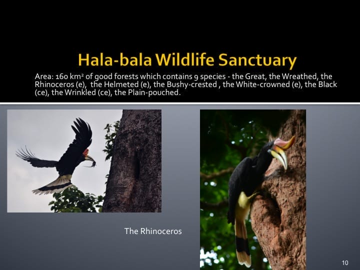 Dr. Woraphat Arthayukti, Dr. Woraphat Arthayukti, 6th International Hornbill Conference Manila, Philippines - Slide 10