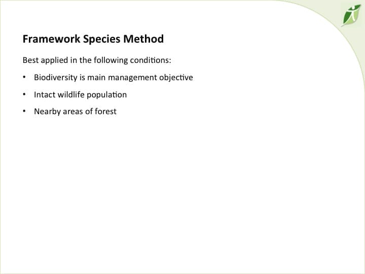 6th International Hornbill Conference, Dr. David Neidel, slide 11