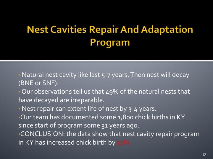 Dr. Woraphat Arthayukti, 6th International Hornbill Conference Manila, Philippines - Slide 12