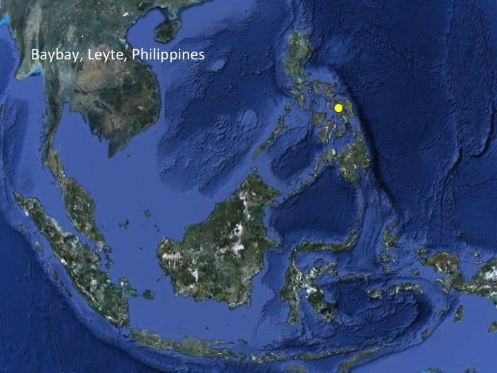 6th International Hornbill Conference, Dr. David Neidel, slide 12