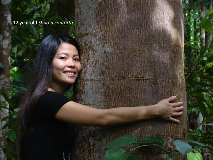 6th International Hornbill Conference, Dr. David Neidel, slide 15