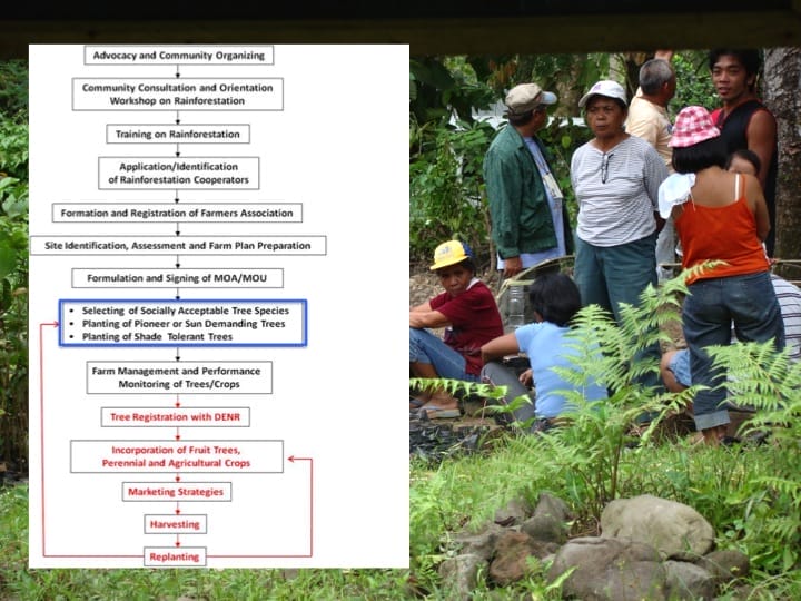 6th International Hornbill Conference, Dr. David Neidel, slide 16