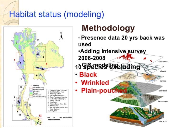 6th International Hornbill Conference, Dr. Vijak Chimchome, slide 16