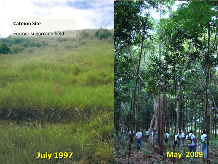 6th International Hornbill Conference, Dr. David Neidel, slide 18