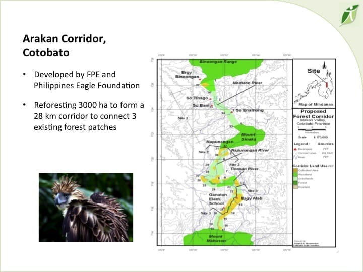 6th International Hornbill Conference, Dr. David Neidel, slide 