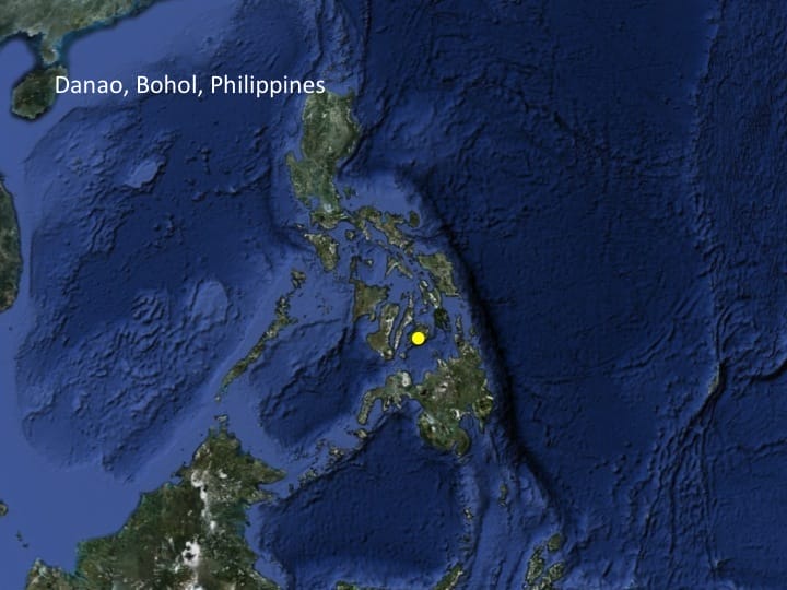 6th International Hornbill Conference, Dr. David Neidel, slide 22