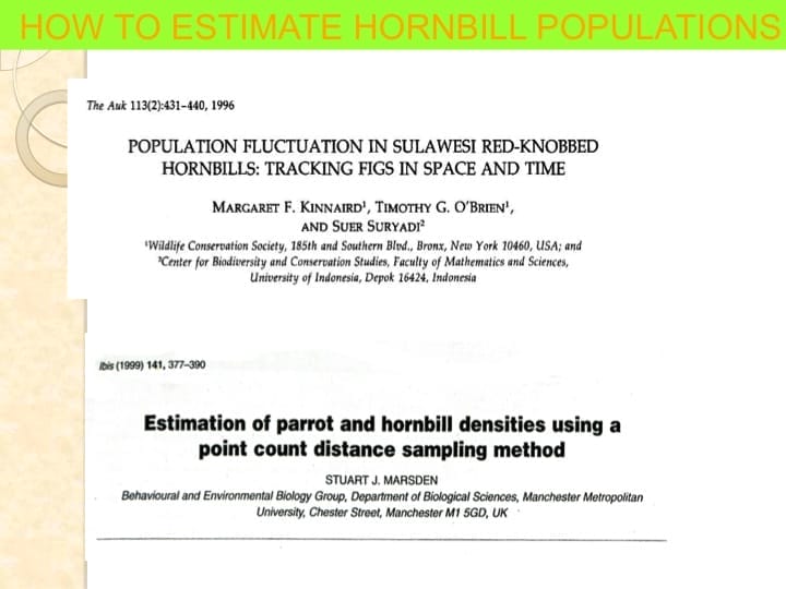 6th International Hornbill Conference, Dr. Vijak Chimchome, slide 22