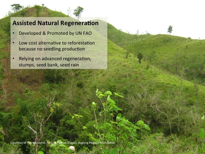 6th International Hornbill Conference, Dr. David Neidel, slide 23