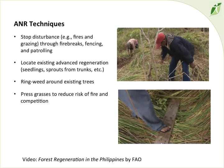 6th International Hornbill Conference, Dr. David Neidel, slide 24 http://www.flickr.com/photos/prasit_chansareekorn/8237673464/ �