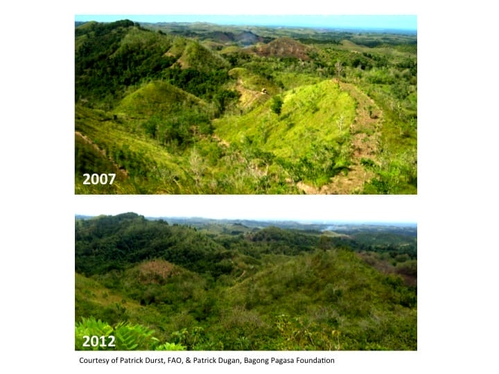 6th International Hornbill Conference, Dr. David Neidel, slide 25