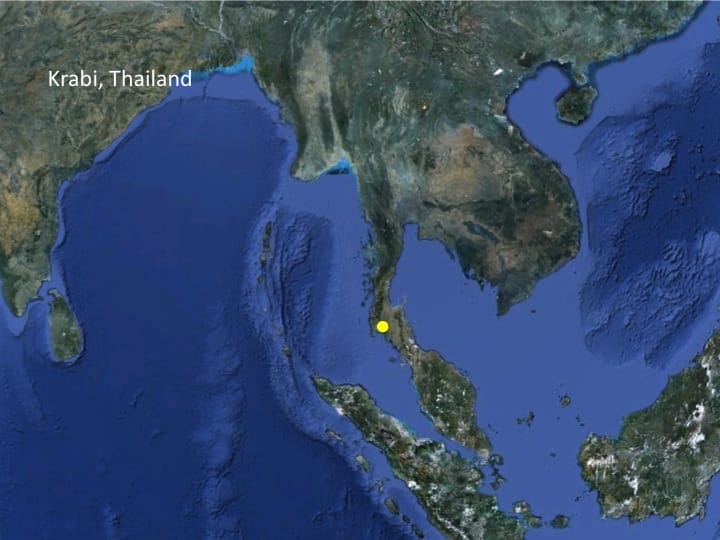 6th International Hornbill Conference, Dr. David Neidel, slide 26