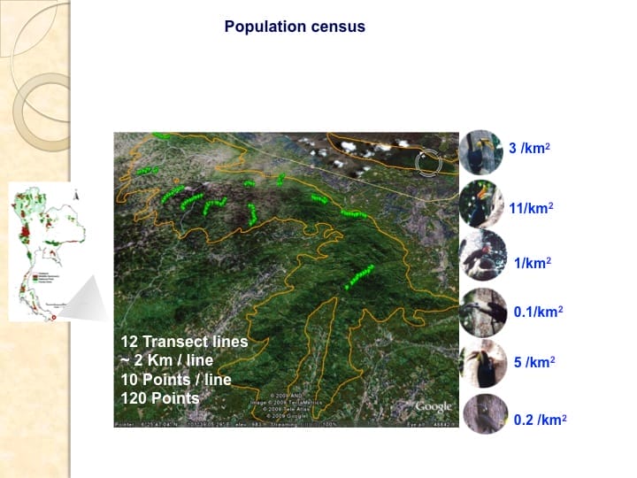 6th International Hornbill Conference, Dr. Vijak Chimchome, slide 28