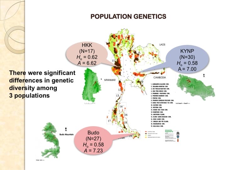 6th International Hornbill Conference, Dr. Vijak Chimchome, slide 30