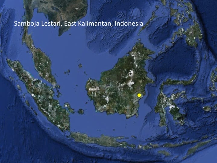 6th International Hornbill Conference, Dr. David Neidel, slide 31