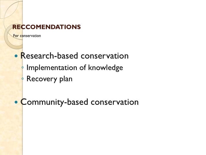 6th International Hornbill Conference, Dr. Vijak Chimchome, slide 31