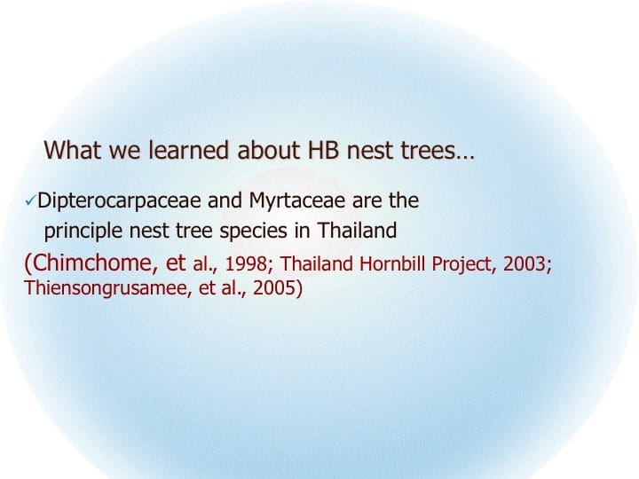 6th International Hornbill Conference, Dr. Vijak Chimchome, slide 36