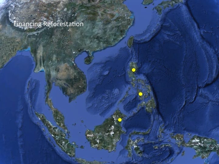 6th International Hornbill Conference, Dr. David Neidel, slide 37