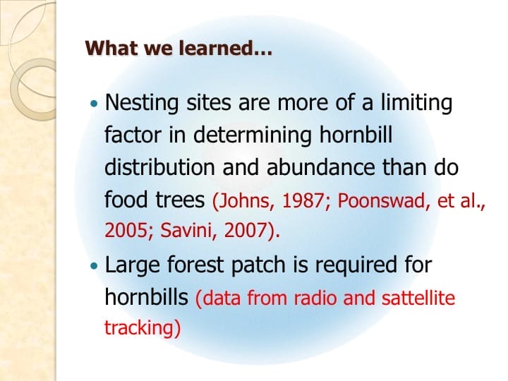 6th International Hornbill Conference, Dr. Vijak Chimchome, slide 38