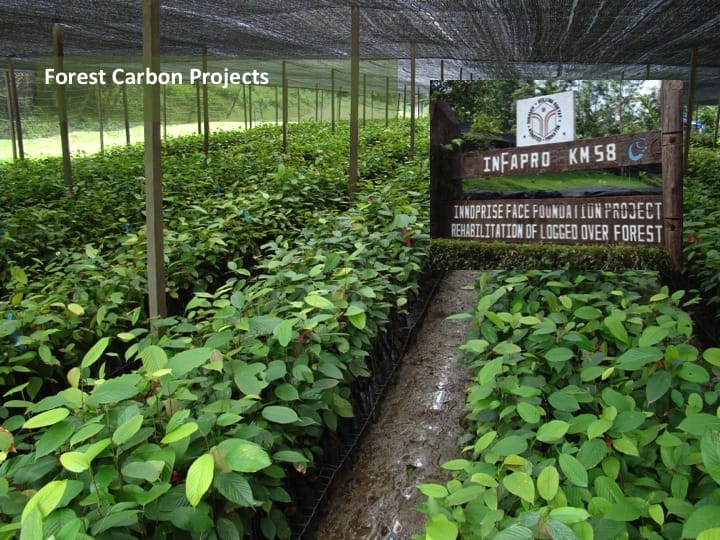 6th International Hornbill Conference, Dr. David Neidel, slide 39