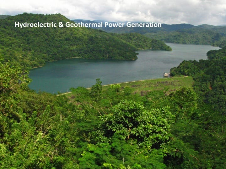 6th International Hornbill Conference, Dr. David Neidel, slide 40