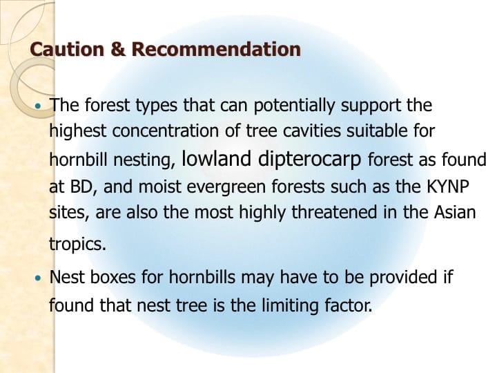 6th International Hornbill Conference, Dr. Vijak Chimchome, slide 40