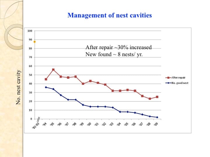 6th International Hornbill Conference, Dr. Vijak Chimchome, slide 48