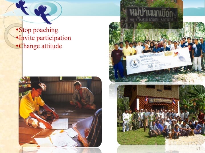 6th International Hornbill Conference, Dr. Vijak Chimchome, slide 51