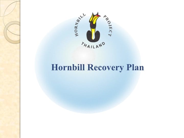 6th International Hornbill Conference, Dr. Vijak Chimchome, slide 53