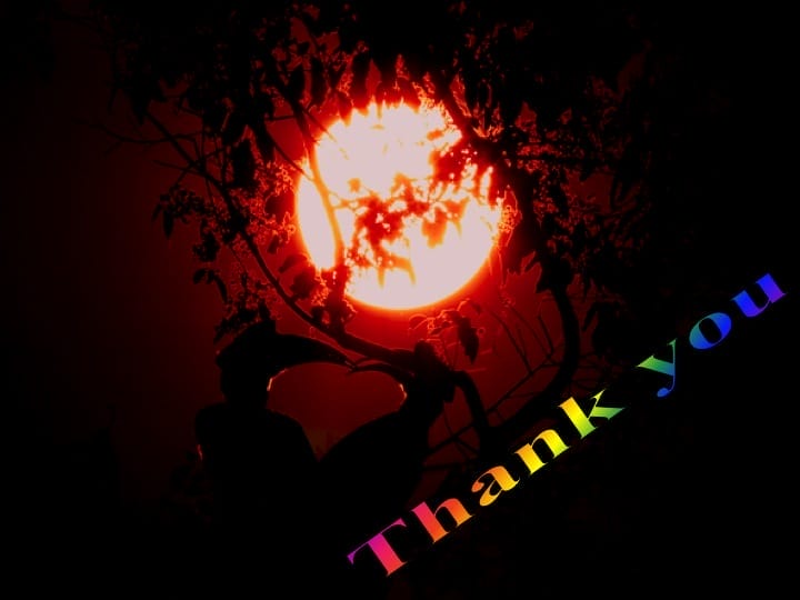 6th International Hornbill Conference, Dr. Vijak Chimchome, slide 57